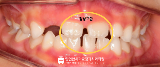 마산교정전문치과