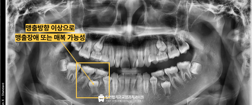 마산합포구교정치과