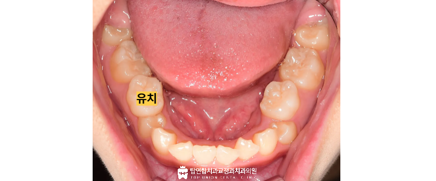마산합포구교정치과