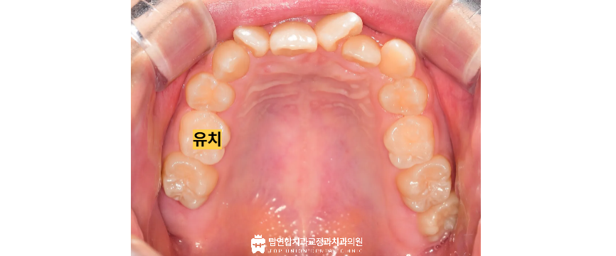 마산합포구교정치과