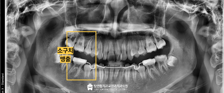 마산합포구교정치과