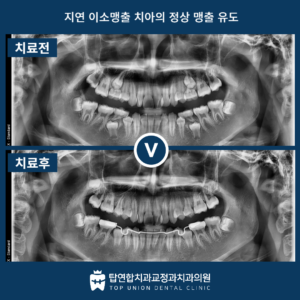마산합포구교정치과